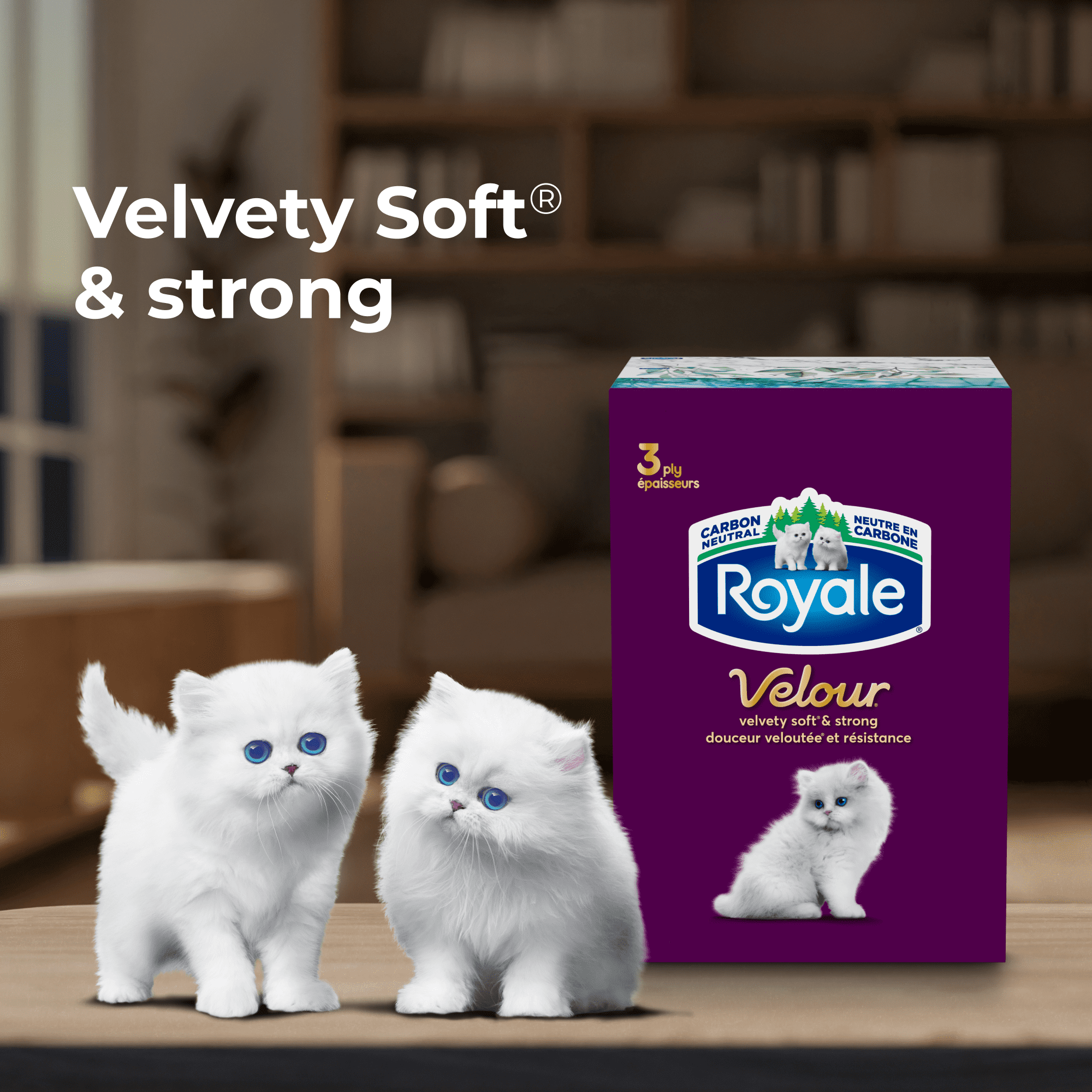 Royale Velour, 3 Ply Facial Tissue, 12 Flat Boxes, 82 Tissues per Box