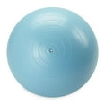 thumbnail image 3 of Reebok Delta 55 cm Small Weighted Stability Ball, Pump Included, 3 of 7