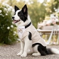 thumbnail image 4 of Aximioll Dog Tuxedo Harness Suit, Formal Wedding Bandana Vest with Bow Tie, Elegant Pet Party Clothes Apparel for Small Medium Large Dogs Dress Up, White/M, 4 of 4