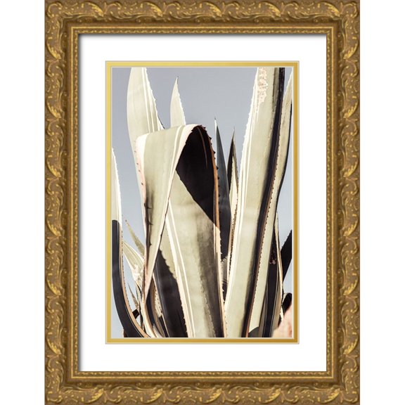 Artographie Studio 17x24 Gold Ornate Wood Framed with Double Matting Museum Art Print Titled - Agave 001