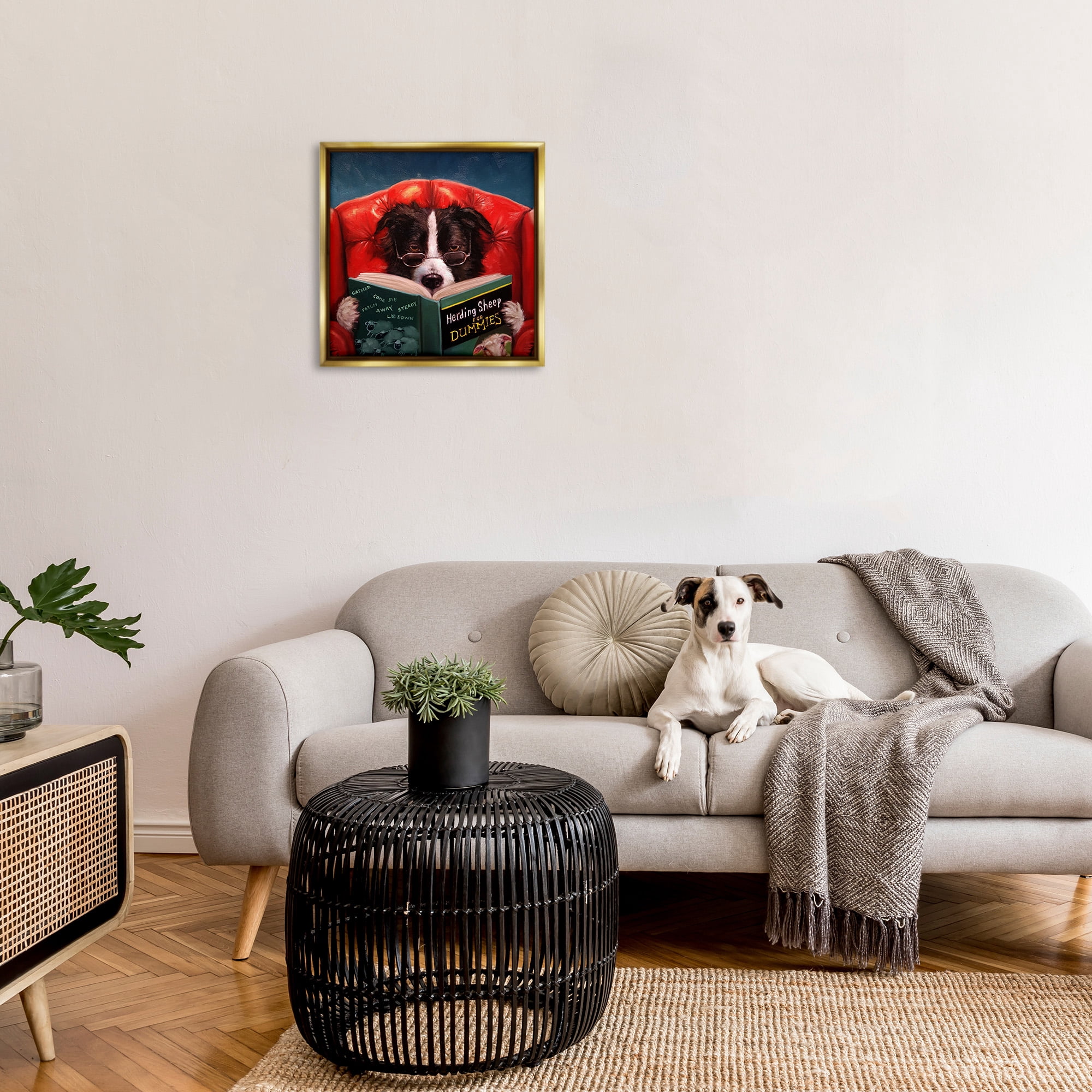 Stupell Industries Sheep Dog Reading for Dummies Animals & Insects Gold Floater Wall Art Design By Lucia Heffernan