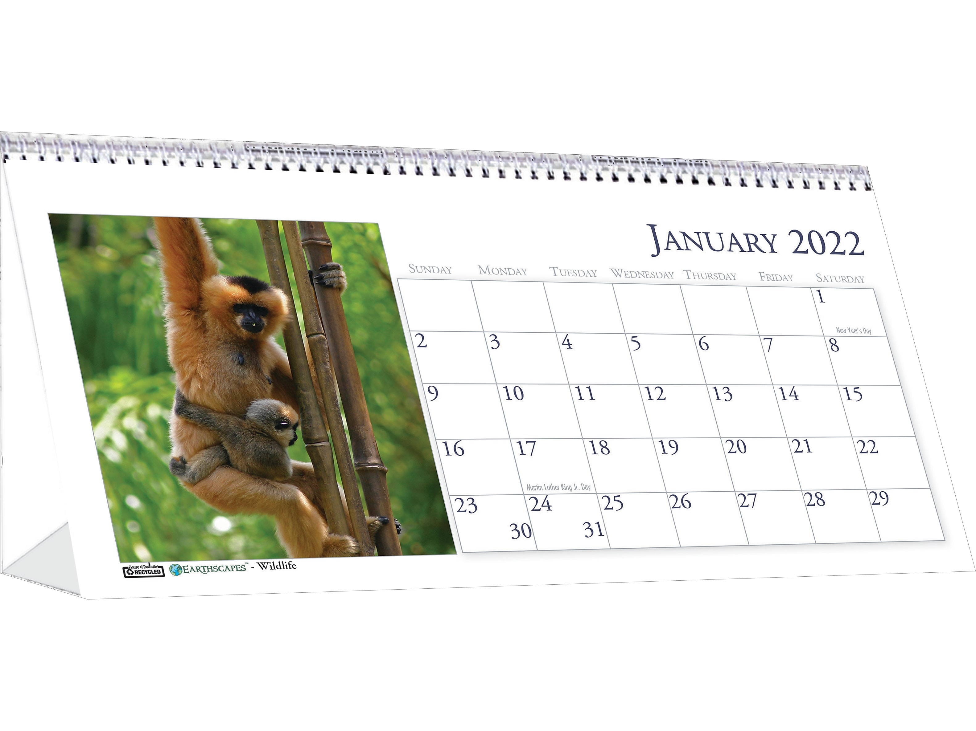House Of Doolittle 2022 4.5" X 8.5" Desk Calendar Earthscapes Wildlife Multicolor 3689-22 - Walmart.com