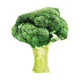 thumbnail image 3 of Pet Plush Chewing Toy Simulation Squeak Toys Training Interactive Toys Self-happy Doll Pet Product, 3 of 8