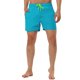 thumbnail image 1 of Pantalones cortos de verano para hombres INSPIRE CHIC, pantalones cortos de playa, forro de malla sólido, cintura con cordón, pantalones cortos de natación 32 azul cielo, 1 of 7