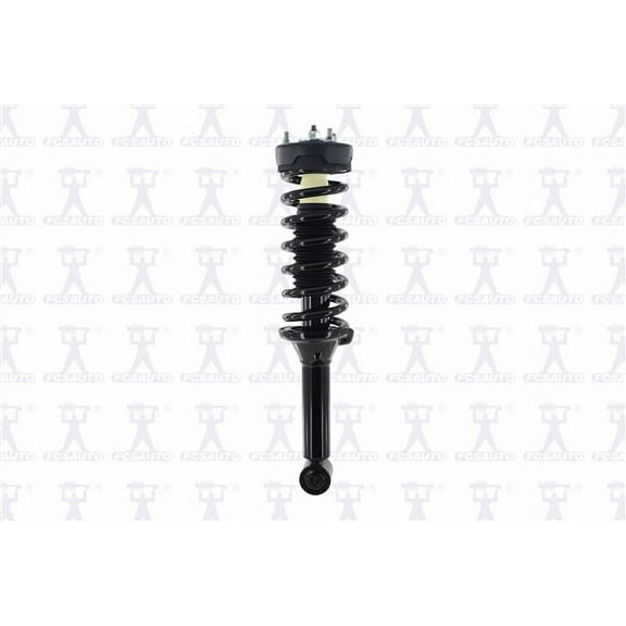 Suspension Strut and Coil Spring Assembly