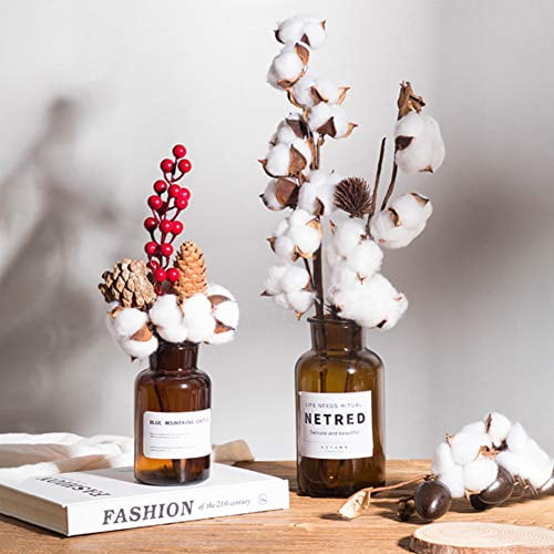 Natural Dried Cotton Stems with Bolls, 8 Pack of Floral Stems for Vase Fillers, Fall Home Decor, DIY Crafts and Rustic Floral Arrangements