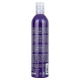 thumbnail image 4 of Deepshine PlatinumX Shampoo by Rusk for Unisex - 12 oz Shampoo, 4 of 5