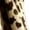 Coffee #25, variant on Womens Cardigan Open Front Long Sleeve Knit Winter Cardigans Leopard Print Lightweight Fall Work Travel Sweaters Coffee M