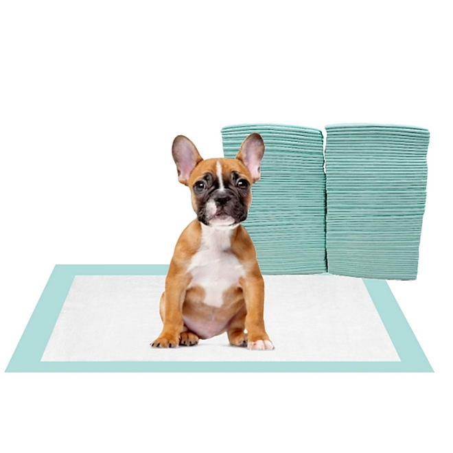 Puppy Training & Potty Multipurpose Absorbent Pads, 23" x 24", 120 ct.