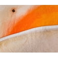 thumbnail image 3 of Manta polar redonda con huevo frito Toynk, 150 cm, 3 of 7