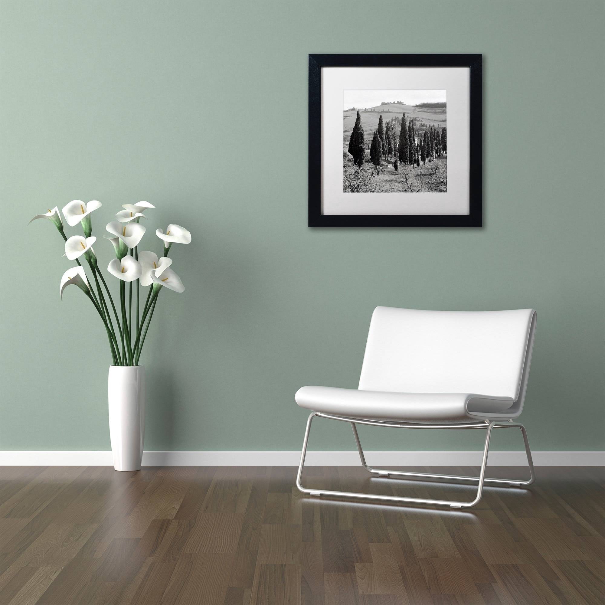 Trademark Fine Art "Tuscany IV" Canvas Art by Alan Blaustein, White Matte, Black Frame