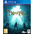 thumbnail image 1 of The Bard's Tale IV : Director's Cut - Day One Edition [PlayStation 4], 1 of 1
