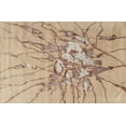 thumbnail image 1 of Ahgly Company Indoor Rectangle Contemporary Orange Brown Abstract Area Rugs, 7' x 10', 1 of 6