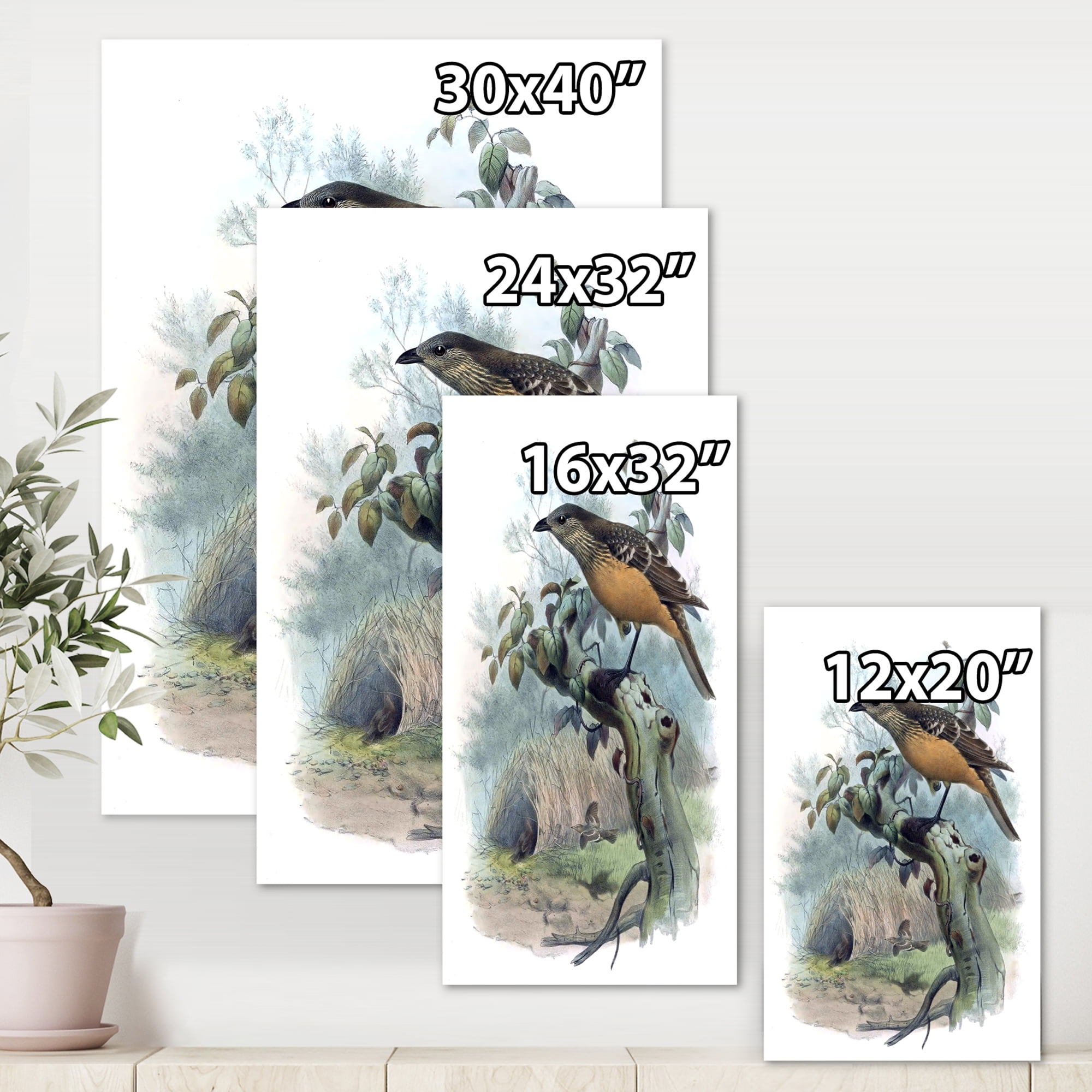 Designart ' The Paradise Birds on a Tree Branch ' Traditional Canvas Wall Art Print