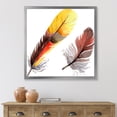 thumbnail image 3 of Designart 'Colourful Boho Art Feathers IV' Bohemian & Eclectic Framed Art Print, 3 of 4