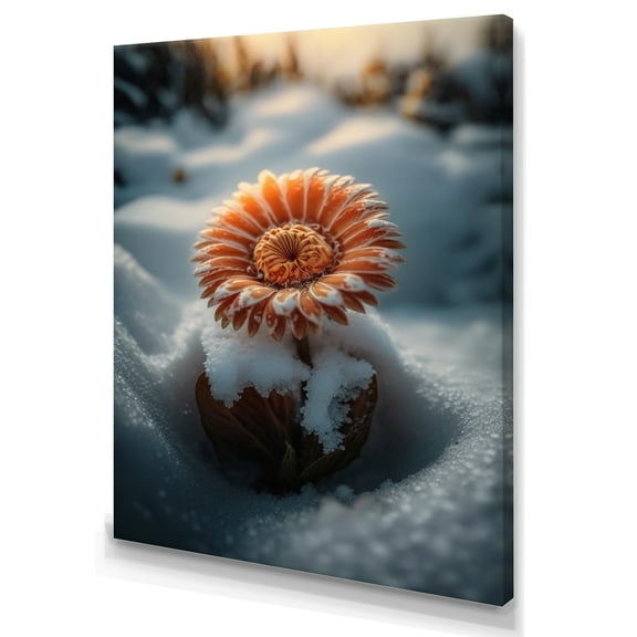 Designart A Blooming Light Orange Gerbera Flower In Winter II Canvas Wall Art