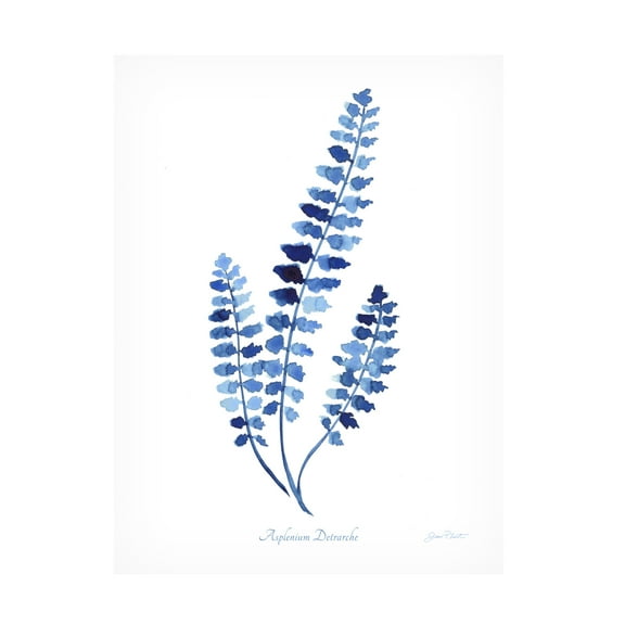 Canvas Wall Art - Jean Plout 'Indigo Botanical 3' Wall Art for Living Room, Bedroom, or Office Décor by Trademark Fine Art - 14 x 19 Inches