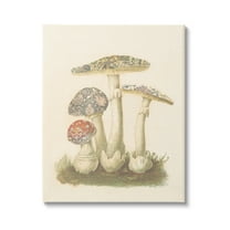 Stupell Industries Vintage Patterned Mushrooms Botanical & Floral Painting Gallery Wrapped Canvas Art Print Wall Art, 16 x 20