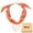 orange, variant on Scarf Necklace for Women Bandana Charm Western Heart Pendant Boho Summer Beach Necklace Jewelry for Women N0146-C(Pink)