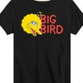 thumbnail image 3 of Sesame Street - Big Bird - Toddler and Youth Short Sleeve Graphic T-Shirt, 3 of 5