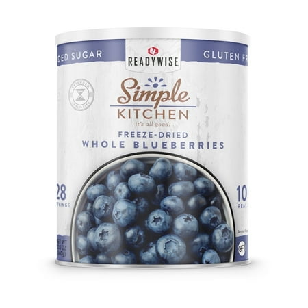 ReadyWise Dehydrated Blueberries for Smoothies & Snacks, 28 Servings