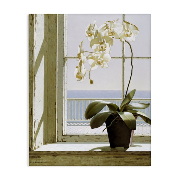 Stupell Industries Traditional White Orchid on Window Sill Canvas Art, 16 x 20, by Zhen-Huan Lu
