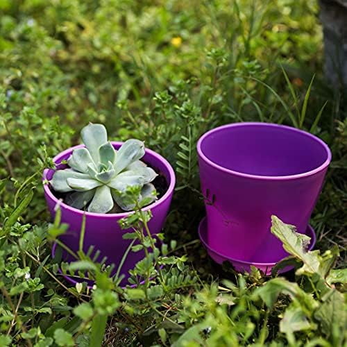 10 Pcs Plastic Planters Indoor Flower Plant Pots, Mini Flower Seedlings Nursery Pot/Planter/Flower Pot with Pallet, Modern Decorative Gardening Containers (Purple)