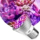thumbnail image 1 of Bombilla LED de espectro completo para plantas, 100 W, E27, para plantas de interior, verduras, flores y semillas, bombilla LED para invernaderos hidropónicos orgánicos (28 LED), 1 of 3