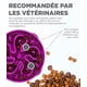 thumbnail image 2 of Comedero para perros slow food anti-glotón - talla M/mini - violeta JM, 2 of 5