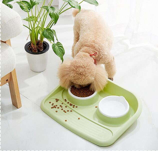 CueCue Pet Green Raised Dual Food And Water Bowls For Small Dogs, Puppies, And Cats With Anti-Slip Feet And Spill-Proof Tray