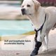 thumbnail image 4 of Dog Front Paws Protective Boot Paws Healing Shoes Adjustable Waterproof Dog Shoe Wound Care Footwear for Wood Recovery XL, 4 of 5