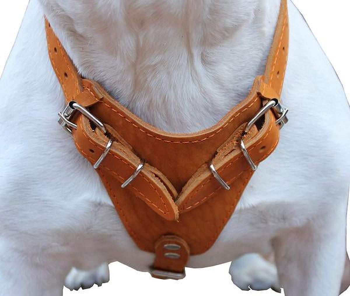 Genuine Leather Dog Harness, 29"-37" Chest, 1" Wide Straps, Doberman, Pitbull, Bullterrier
