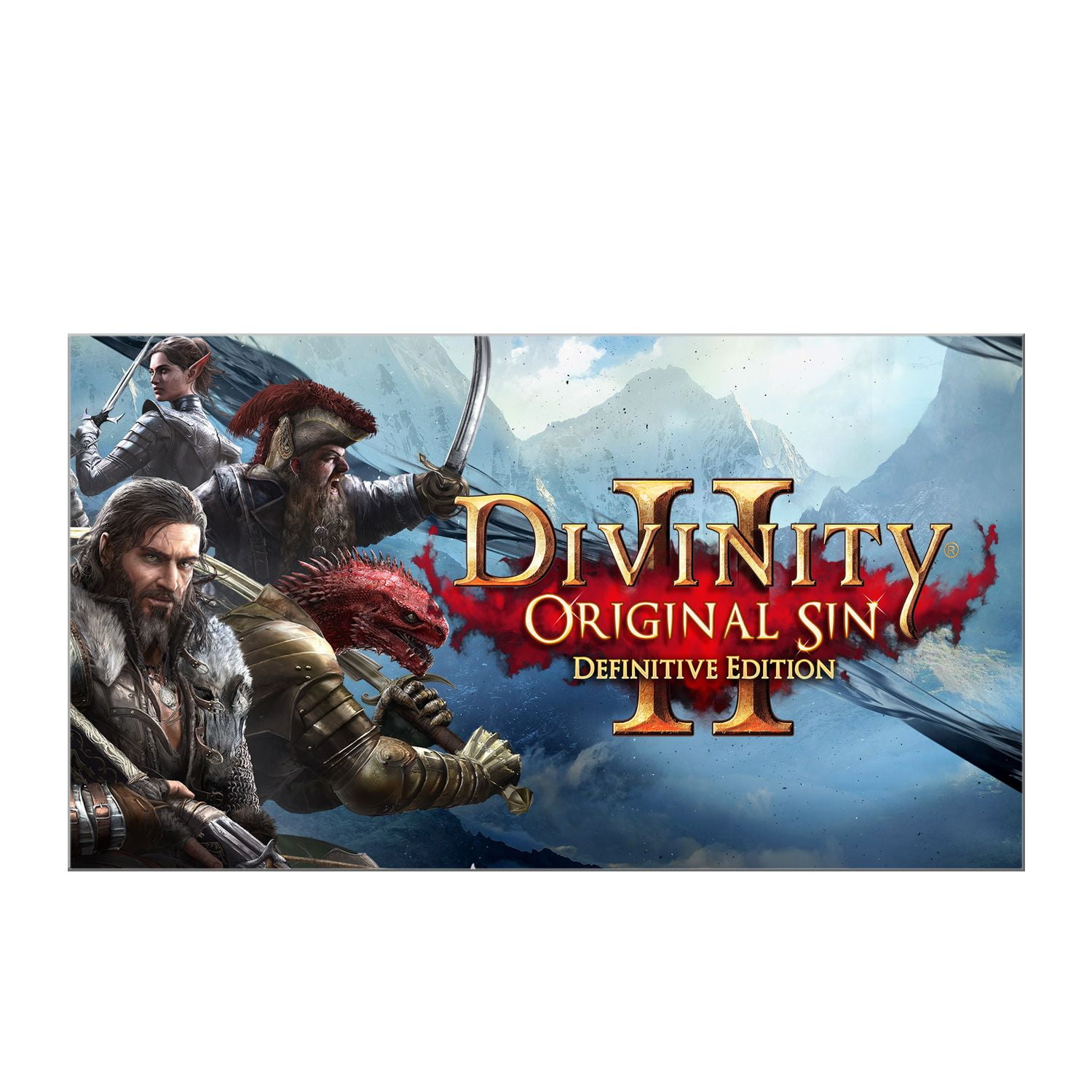 Divinity: Original Sin 2 - Edition, Larian Studios, Nintendo Switch [Digital Download], -