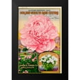 thumbnail image 2 of Vintage Apple Collection 10x14 Black Modern Framed Museum Art Print Titled - Pink Rose, 2 of 5