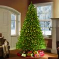 thumbnail image 2 of CC Christmas Decor Pre-Lit Medium Fraser Fir Artificial Christmas Tree - 10’ - Clear Light, 2 of 3