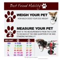 thumbnail image 3 of Best Friend Mobility Elite Dog Wheelchair - Small, 3 of 3