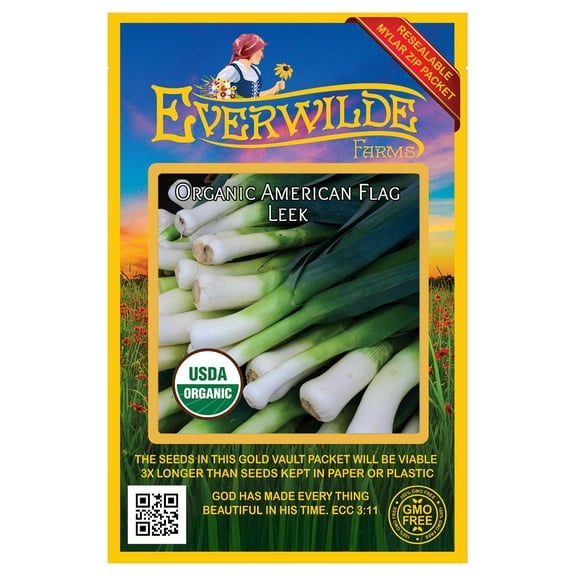 Everwilde Farms - 500 Organic American Flag Leek Seeds - Gold Vault Jumbo Bulk Seed Packet