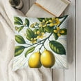 thumbnail image 3 of Lemon Throw Pillow Covers Summer Fruit Farmhouse Decorative Pillows Case Soft Velvet Cushion Covers for Couch Sofa Patio Garden Home Decor, 3 of 5