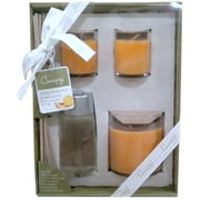 Canopy 4pc White Grapefruit and Nectarine Candle Gift Set