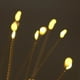 thumbnail image 3 of Lámpara LED solar de fuegos artificiales para exteriores, jardín, césped, estaca, cadena de luces (blanco cálido) Lamparas, 3 of 5