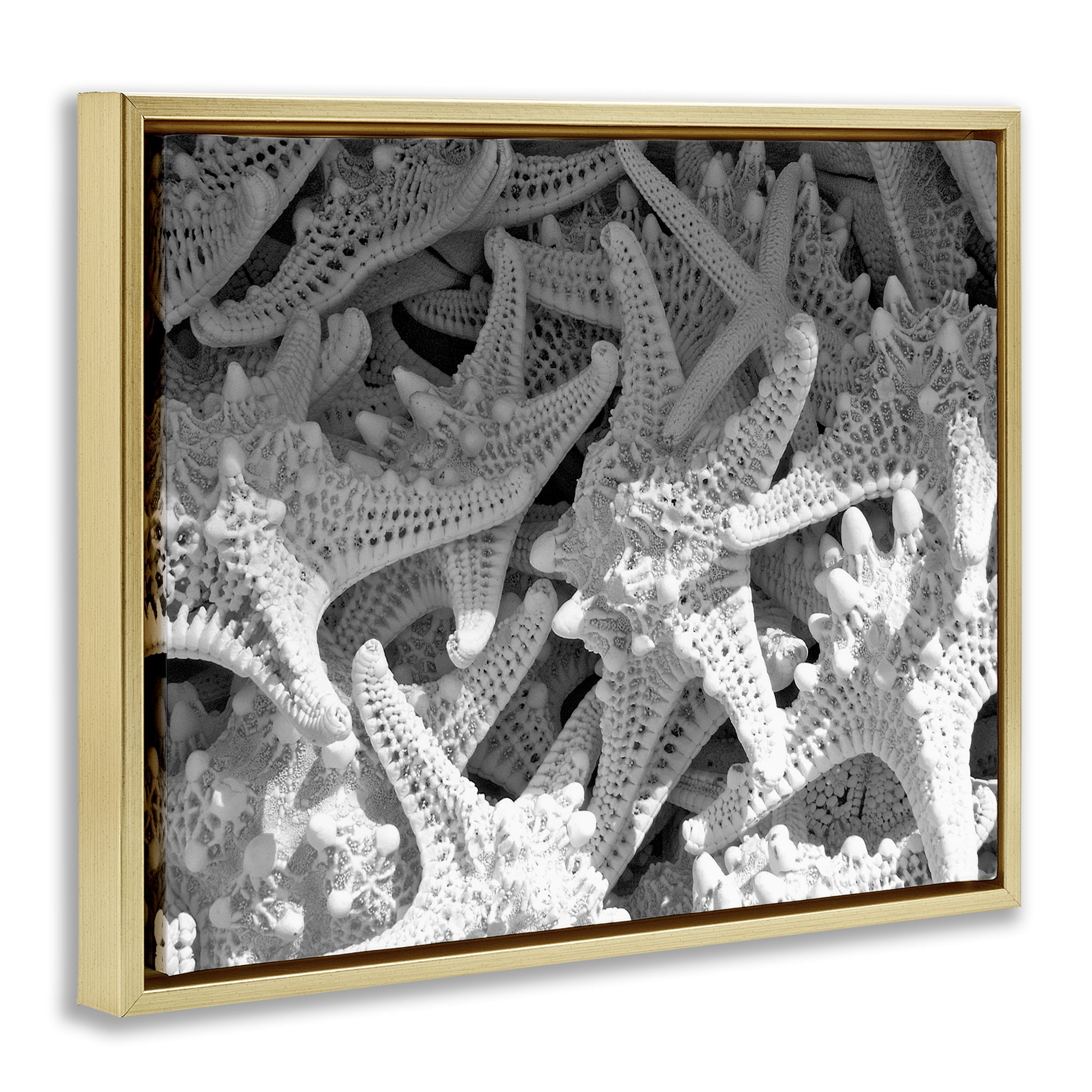 Stupell Industries Nautical Starfish Pile Coastal Photography Gold Floater Framed Canvas Art Print Wall Art, 31 x 25