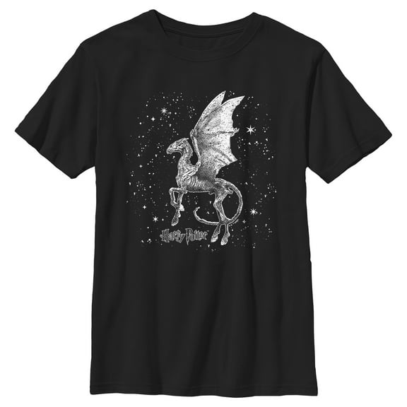 Boy's Harry Potter Black and White Thestral Graphic Tee Black X Large
