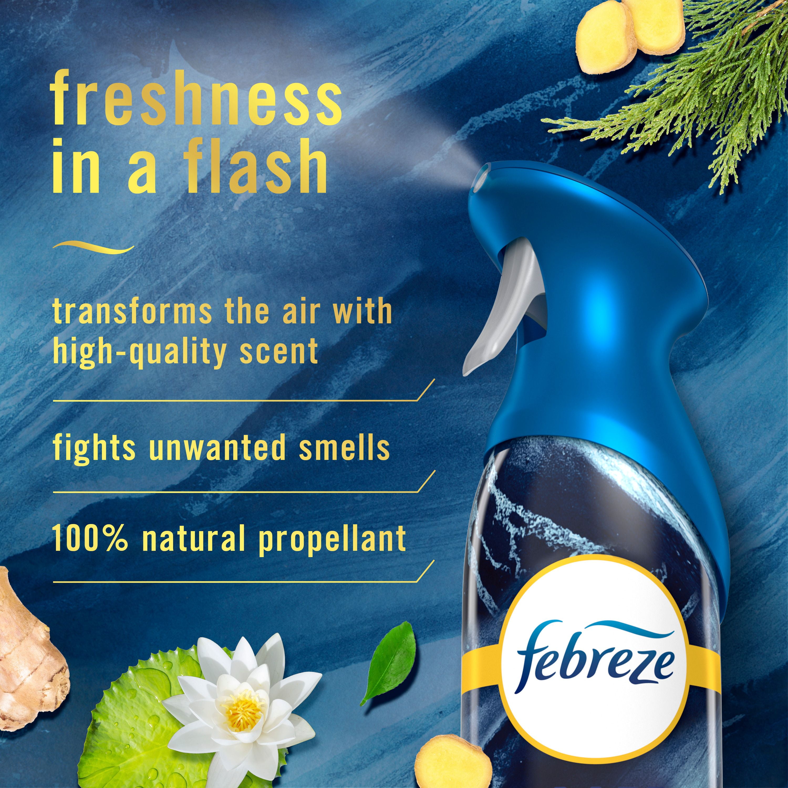 Assainisseur d’air en vaporisateur Febreze, assainisseur d’air pour la maison, parfum Océan, 250g, 2unités 250G