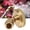 Brass, variant on NFTIGB G1/4" Female Thread 7 Holes Misting Spray Nozzle Garden Watering Sprayer Head (Straight) High Strength Brass Atomization Nozzle 1.7*1.6 inches / 4.2*4 cm