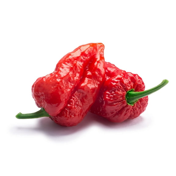 Ghost Pepper Seeds to Plant - 20  Seeds - The Hottest Peppers! Add Amazing Flavor. Made in USA. Ships from Iowa
