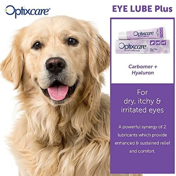 eye lubricant gel for dogs Angels' Eyes Multi-Purpose Sterile Eye Lubricant For Dogs, 3.5G