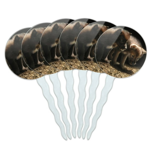 Curious Wolf Pups Wolves Cupcake Picks Toppers Decoration Set of 6