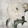 thumbnail image 2 of Brown, Denise 20x20 White Modern Wood Framed Museum Art Print Titled - Traditional Peony, 2 of 4