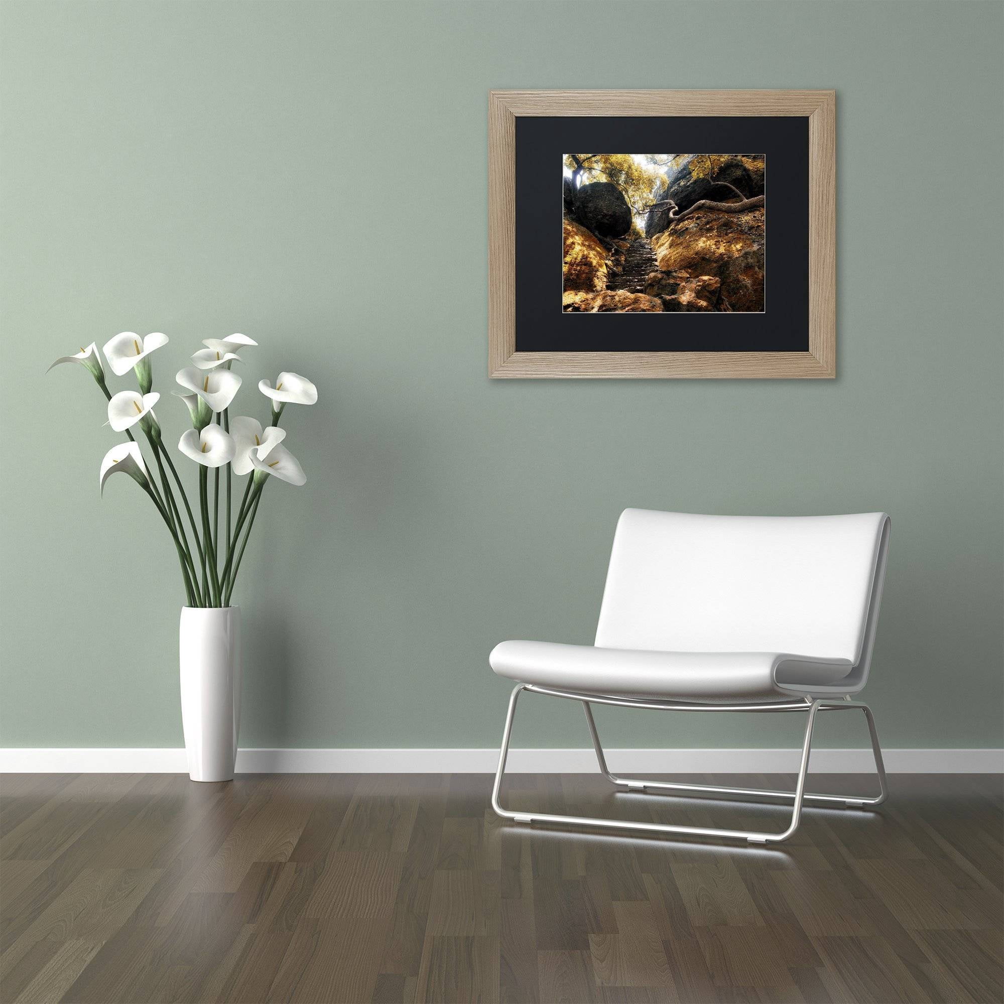 Trademark Fine Art "Autumn Forest" Canvas Art by Philippe Hugonnard, Black Matte, Birch Frame