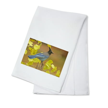 

Stellar Blue Jay (100% Cotton Tea Towel Decorative Hand Towel Kitchen and Home)
